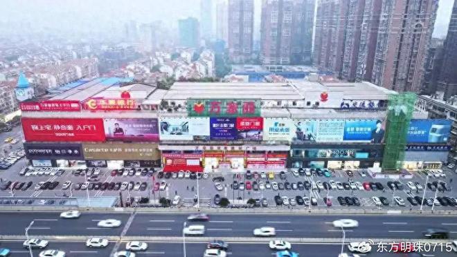 梧桐树门窗的风景窗口：家居与自然的诗意连